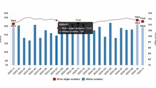 Tüik: İhracat birim değer endeksi %1,3 arttı