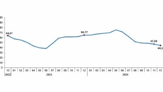 Tüik: Tüketici fiyat endeksi (TÜFE) yıllık %44,38, aylık %1,03 arttı