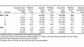 Tüik: Yurt içinde ikamet eden 20 milyon 453 bin kişi seyahate çıktı